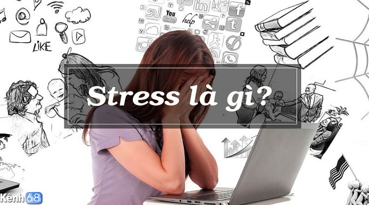 Bị stress là gì? Triệu chứng và cách xả stress là gì
