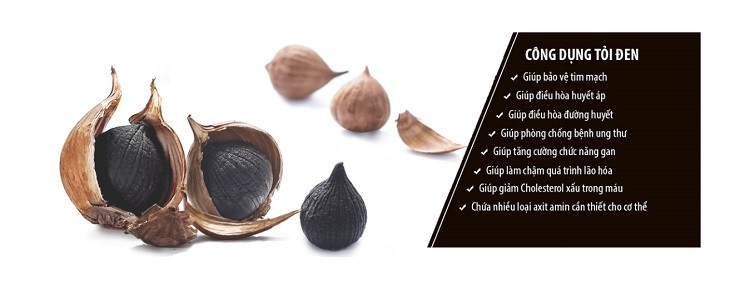 tỏi đen chứa chống oxy hóa