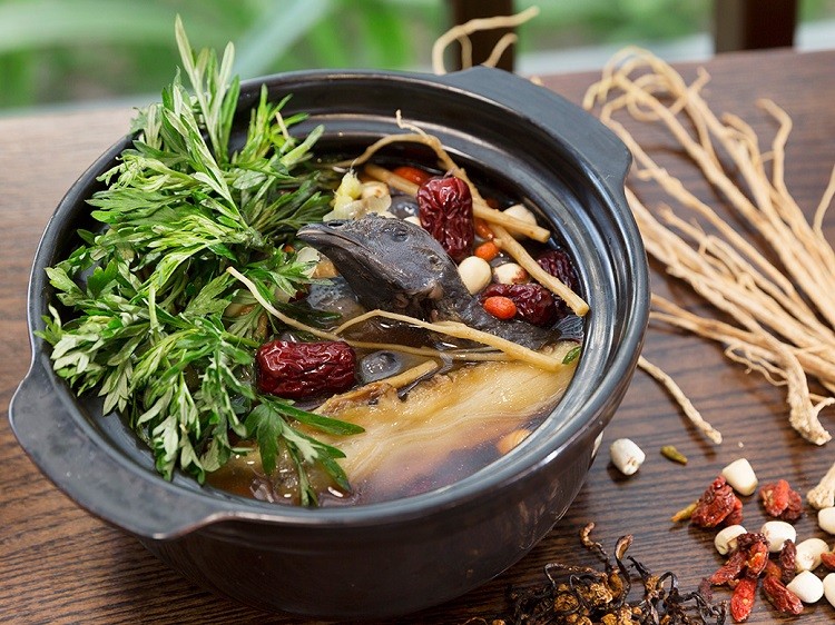 Gà ác tiềm thuốc Bắc