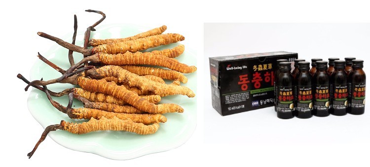 Nước uống đông trùng hạ thảo Well Being Life của Hàn Quốc nước đông trùng hạ thảo well being life, đông trùng hạ thảo well being life, nước uống đông trùng hạ thảo well being life, đông trùng hạ thảo hàn quốc well being life