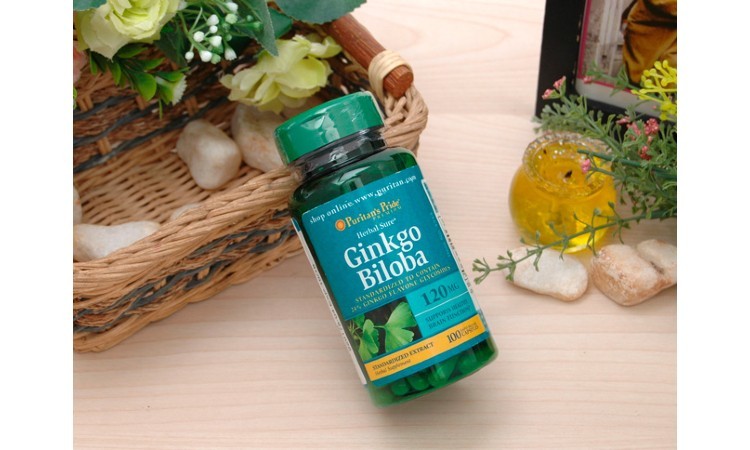 Ginkgo Biloba Puritan’s Pride