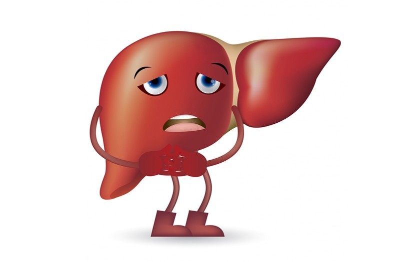 Tăng cường hoạt động của gan