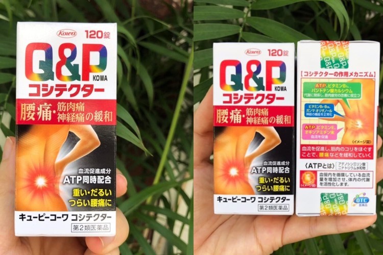 Viên uống Q&P Kowa