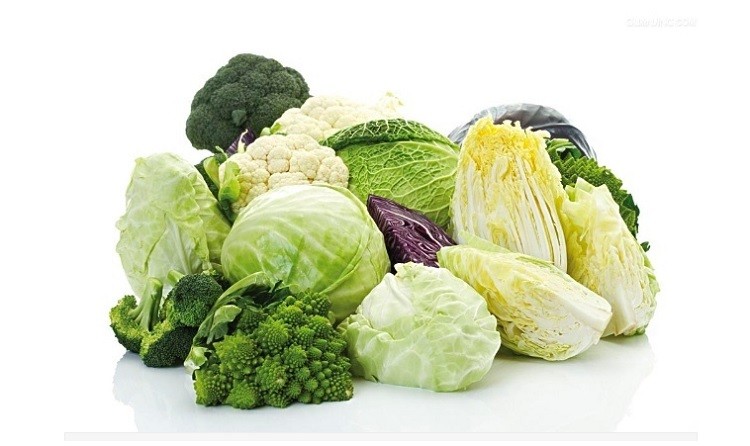 Rau họ cải