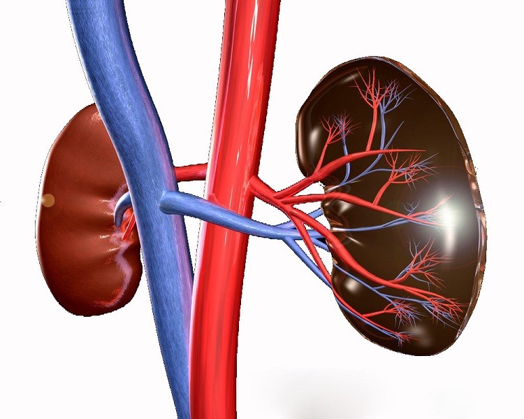 Biến chứng tiểu đường ở thận