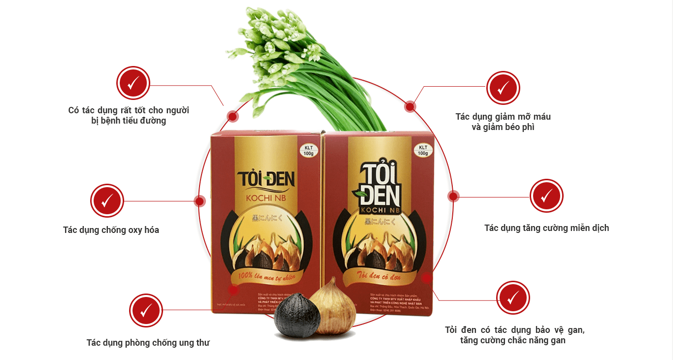 Tỏi đen một nhánh Kochi