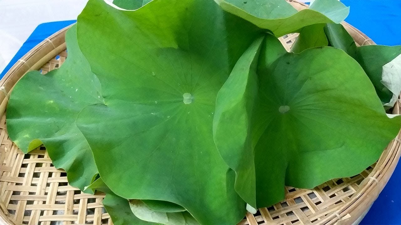 gan nhiễm mỡ độ 2 là gì, gan nhiễm mỡ nhẹ là gì, bệnh gan nhiễm mỡ là gì, gan nhiễm mỡ s3 là gì, gan nhiễm mỡ s1 là gì, gan nhiễm mỡ là bị gì, thuốc gan nhiễm mỡ là gì, gan nhiễm mỡ độ 1 là gì, chỉ số gan nhiễm mỡ là gì, triệu chứng gan nhiễm mỡ là gì, bị gan nhiễm mỡ là gì