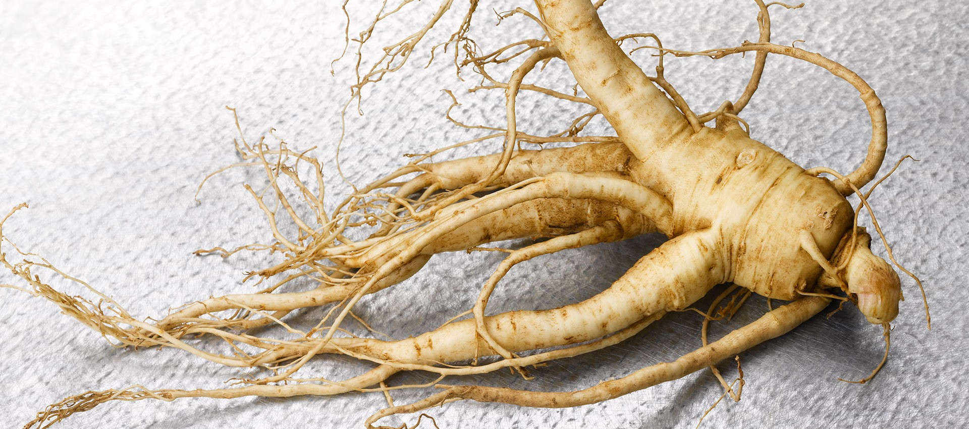 nhân sâm Hàn Quốc  Phòng chống bệnh ung thư