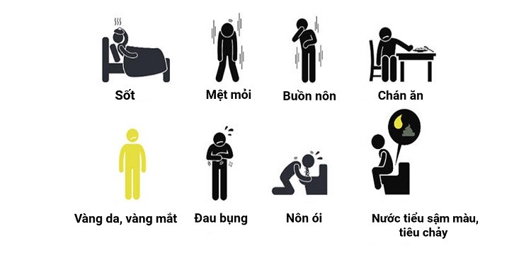 Bệnh viêm gan B là bệnh gì bệnh viêm gan B mạn là gì, bệnh viêm gan siêu vi b là gì, người lành mang bệnh viêm gan B là gì, bệnh viêm gan virus b mạn là gì, bệnh viêm gan B là bệnh gì, bệnh viêm gan B là gì, bệnh viêm gan B biểu hiện, bệnh viêm gan B dấu hiệu, bệnh viêm gan B có nguy hiểm không, bệnh viêm gan B có điều trị được không, bệnh viêm gan B có chữa được k, bệnh viêm gan B và những điều cần biết, có chữa được bệnh viêm gan B không, bệnh viêm gan B có mang thai được không, bệnh viêm gan B có dễ lây không, bệnh viêm gan B lây lan như thế nào, bệnh viêm gan B có di truyền