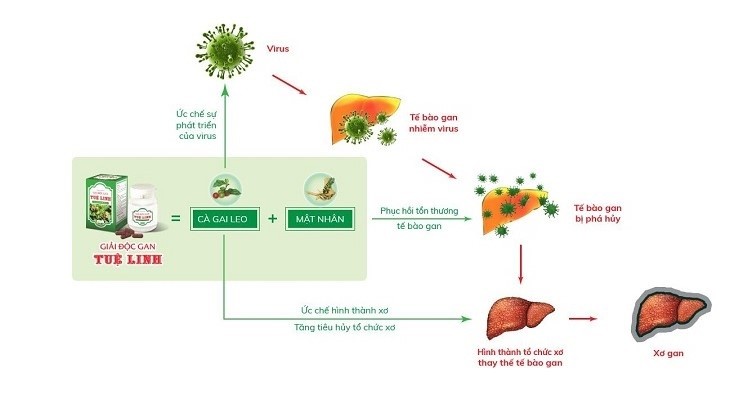 Phản hồi giải độc gan Tuệ Linh có tốt không webtretho giải độc gan Tuệ Linh plus, giải độc gan Tuệ Linh có mấy loại, giải độc gan Tuệ Linh cà gai leo, giải độc gan Tuệ Linh có tốt không webtretho, giải độc gan Tuệ Linh mua ở đâu, giải độc gan Tuệ Linh vỉ, giải độc gan Tuệ Linh review, giải độc gan Tuệ Linh bán ở đâu, thuốc giải độc gan Tuệ Linh, thực hư giải độc gan Tuệ Linh, giá giải độc gan Tuệ Linh, giải độc gan Tuệ Linh giá, giải độc gan Tuệ Linh và boganic, có ai dùng giải độc gan Tuệ Linh chưa, giải độc gan Tuệ Linh lừa đảo, giải độc gan Tuệ Linh có tốt không, giải độc gan Tuệ Linh giá bao nhiêu, giải độc gan Tuệ Linh plus giá bao nhiêu, giải độc gan Tuệ Linh giá bao nhiêu tiền, thuốc giải độc gan Tuệ Linh giá bao nhiêu, giải độc gan Tuệ Linh bao nhiêu tiền, uống giải độc gan Tuệ Linh bị nổi mụn, thuốc giải độc gan Tuệ Linh bao nhiêu tiền