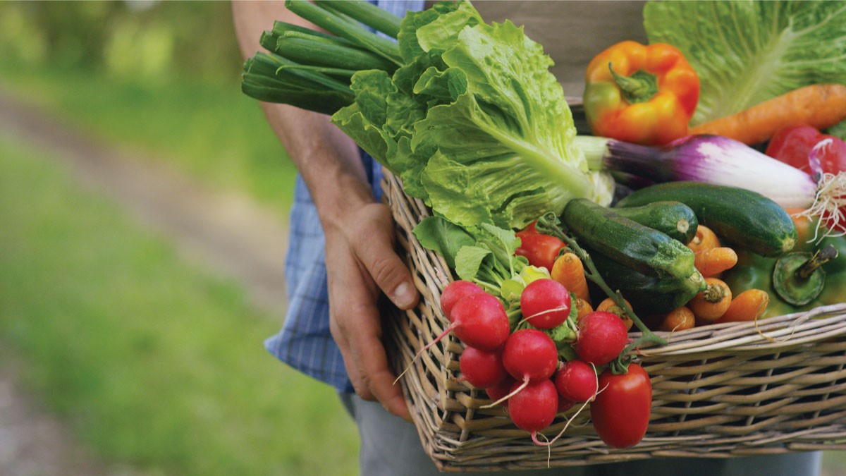 Bị thoát vị đĩa đệm nên ăn gì? bị thoát vị đĩa đệm nên tập gì, người bị thoát vị đĩa đệm nên tập gì, thoát vị đĩa đệm có nên tập thể dục, thoát vị đĩa đệm tập thể dục, thoát vị đĩa đệm có tập được yoga, thoát vị đĩa đệm có nên tập aerobic, thoát vị đĩa đệm có nên tập thể hình, thoát vị đĩa đệm cổ nên tập gì, tập gì khi bị thoát vị đĩa đệm, tập luyện thoát vị đĩa đệm