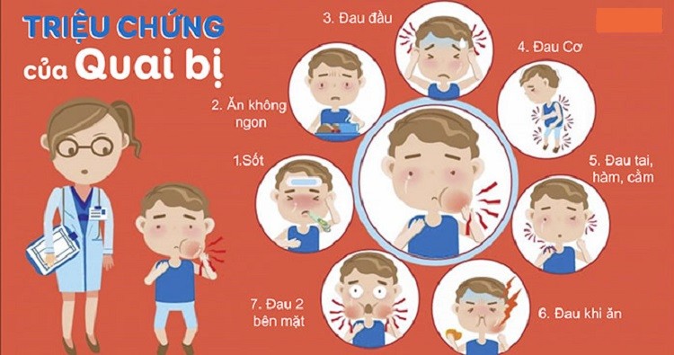 Quai bị là gì? Bệnh quai bị ảnh hưởng như thế nào quai bị là gì, quai bị là bệnh gì, bệnh quai bị là bệnh gì, bệnh quai bị là gì cách điều trị, bệnh quai bị triệu chứng, bệnh quai bị là như thế nào, tìm hiểu về bệnh quai bị, bệnh quai bị ảnh hưởng như thế nào, quai bị là bệnh như thế nào, triệu chứng của bệnh quai bị là gì, bệnh quai bị ở nam giới là gì, dấu hiệu của bệnh quai bị là gì