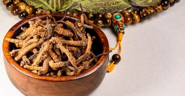 Đông trùng hạ thảo là con gì đông trùng hạ thảo là con gì, rượu đông trùng hạ thảo có tác dụng gì, đông trùng hạ thảo tươi là gì, đông trùng hạ thảo là cái gì, đông trùng hạ thảo tây tạng là gì, đông trùng hạ thảo là gì cách dùng, ăn đông trùng hạ thảo như thế nào, ăn đông trùng hạ thảo vào lúc nào