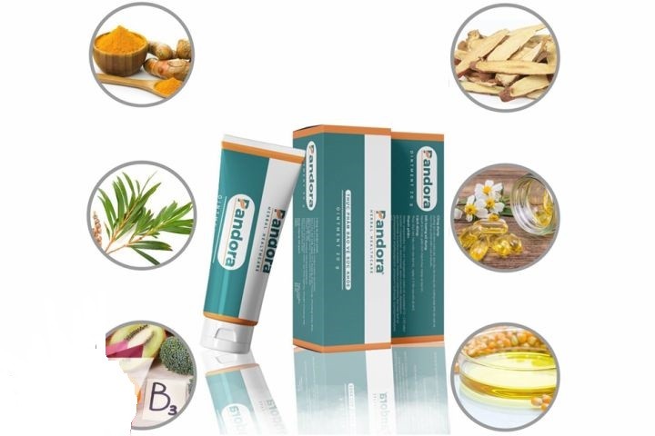 Kem bôi trĩ Pandora giá bao nhiêu? Thành phần, công dụng kem bôi trĩ Pandora giá bao nhiêu, thuốc bôi trĩ Pandora giá bao nhiêu, giá kem bôi trĩ Pandora, kem bôi trĩ Pandora mua ở đâu, thuốc bôi trĩ Pandora mua ở đâu, giá thuốc bôi trĩ Pandora