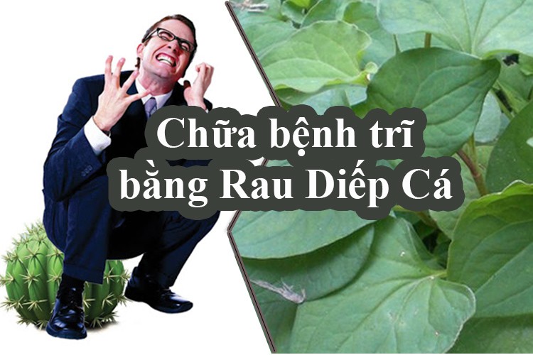 Cách chữa trĩ bằng diếp cá đơn giản, hiệu quả chữa trĩ bằng diếp cá, điều trị bệnh trĩ bằng rau diếp cá, điều trị bệnh trĩ bằng lá diếp cá, trị bệnh trĩ bằng diếp cá, trị trĩ bằng rau diếp cá webtretho, chữa trĩ bằng rau diếp cá như thế nào, chữa trĩ bằng rau diếp cá webtretho, chữa bệnh trĩ bằng diếp cá, trị bệnh trĩ bằng rau diếp cá, cách điều trị bệnh trĩ bằng rau diếp cá