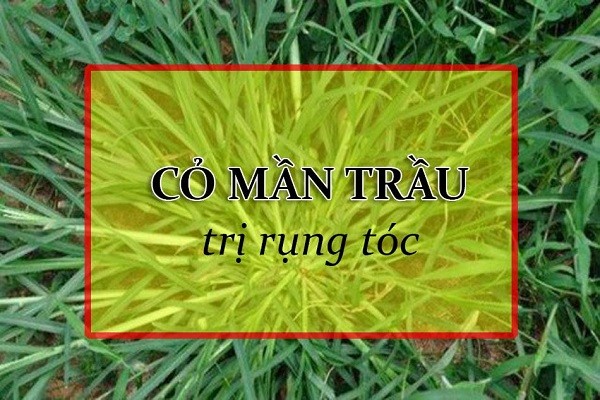 cách trị rụng tóc sau sinh, cách trị rụng tóc sau sinh tại nhà, cách chữa rụng tóc sau sinh tại nhà, cách trị tóc rụng sau sinh, cách điều trị tóc rụng sau sinh tại nhà