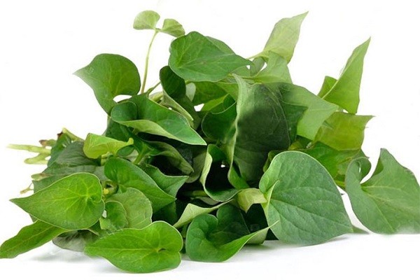 cách trị mụn tại nhà ở tuổi dậy thì, cách trị mụn tại nhà hiệu quả, cách trị mụn tại nhà bằng chanh, cách trị mụn tại nhà bằng nha đam, cách trị mụn tại nhà bằng mật ong, cách trị mụn tại nhà nhanh nhất, cách trị mụn tại nhà đơn giản, cách trị mụn tại nhà bằng rau diếp cá